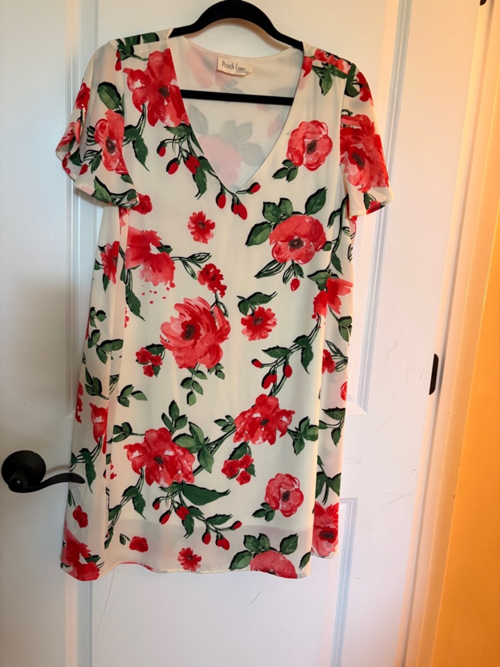 Peach Love California Cream Mini Dress with Red Floral Print